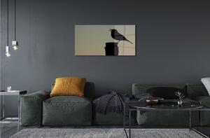 Quadro vetro Uccello nero 100x50 cm