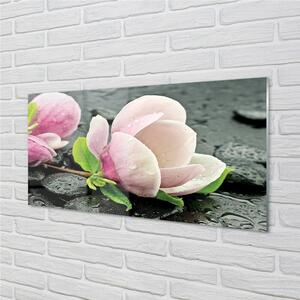 Quadro di vetro Pietre di magnolia 100x50 cm