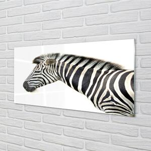 Quadro di vetro Zebra 100x50 cm