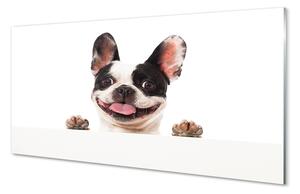 Quadro su vetro Cane 100x50 cm 2 appendini