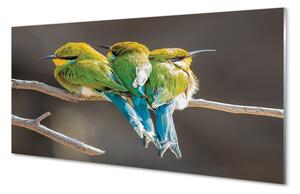 Quadro vetro Uccelli su un ramo 100x50 cm
