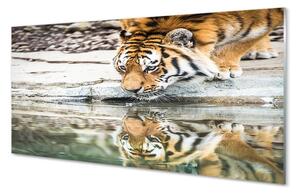 Quadro in vetro La tigre che beve 100x50 cm