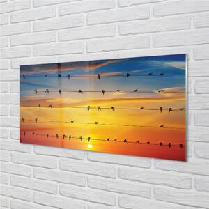 Quadro su vetro Uccelli al tramonto sulle corde 100x50 cm