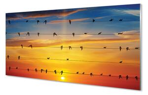 Quadro su vetro Uccelli al tramonto sulle corde 100x50 cm