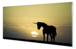 Quadro in vetro Campo unicorno al tramonto 100x50 cm