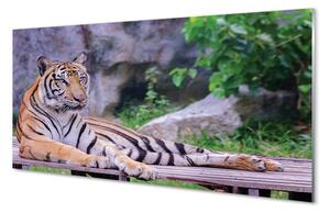 Quadro su vetro La tigre nello zoo 100x50 cm