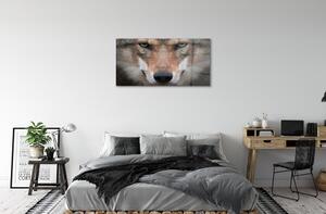 Quadro in vetro Occhi di lupo 100x50 cm