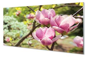 Quadro in vetro Alberi di magnolia 100x50 cm