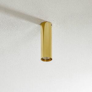 Argon Spot soffitto Tesa, ottone, altezza 18 cm