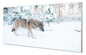 Quadro acrilico Foresta invernale invernale 100x50 cm 2 appendini