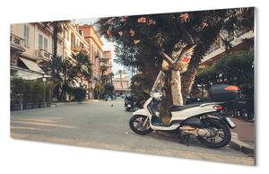 Rivestimento parete cucina Città estiva delle palme delle motociclette 100x50 cm