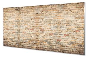 Rivestimento parete cucina Muro di mattoni d'epoca 100x50 cm