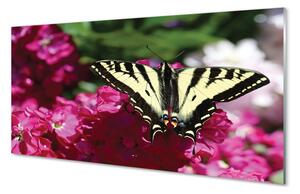 Quadro su vetro acrilico Fiori di farfalla 100x50 cm 2 appendini