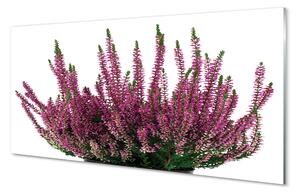 Quadro su vetro acrilico Erica 100x50 cm 2 appendini