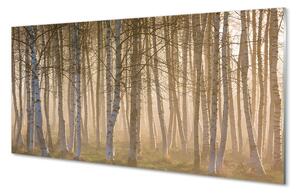 Pannello paraschizzi Alberi della foresta di alba 100x50 cm