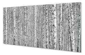 Quadro acrilico Alberi della foresta in bianco e nero 100x50 cm 2 appendini