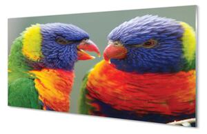 Quadro su vetro acrilico Pappagalli colorati 100x50 cm 2 appendini