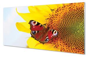 Quadro su vetro acrilico Farfalla di girasole 100x50 cm 2 appendini