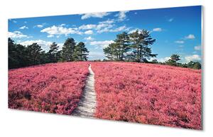 Quadro su vetro acrilico Wrzosy Field Las 100x50 cm 2 appendini