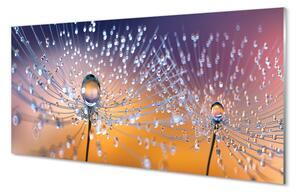 Quadro su vetro acrilico Cade macro dentelione 100x50 cm 2 appendini