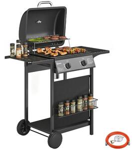 Barbecue a gas da 5 kW con 2 bruciatori, carrello in acciaio inossidabile, tavolino laterale, cestello inferiore, copertura frontale, termometro e griglia smaltata