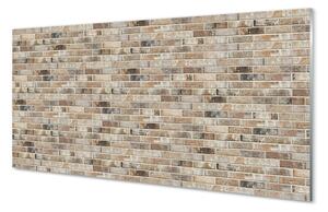 Rivestimento parete cucina Muro di mattoni d'epoca 100x50 cm