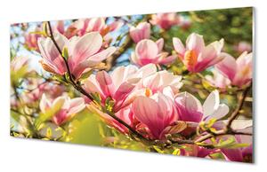 Rivestimento parete cucina Magnolia rosa 100x50 cm
