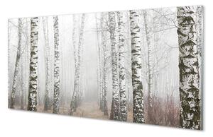 Rivestimento parete cucina Nebbia di betulla 100x50 cm
