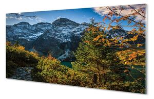 Rivestimento parete cucina Montagne del lago 100x50 cm