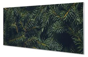 Quadro su vetro acrilico Rami dell'albero di Natale 100x50 cm 2 appendini