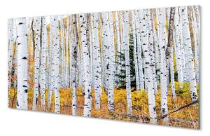 Quadro acrilico Birch autunnale 100x50 cm