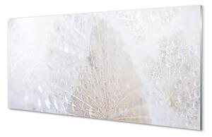 Rivestimento parete cucina Gocce di astrazione del dente di leone 100x50 cm