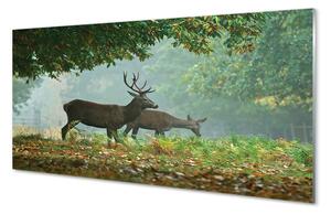 Pannello paraschizzi cucina Cervi della foresta autunnale 100x50 cm