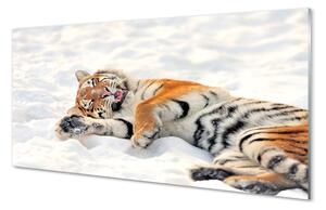 Rivestimento parete cucina Tigre della neve d'inverno 100x50 cm