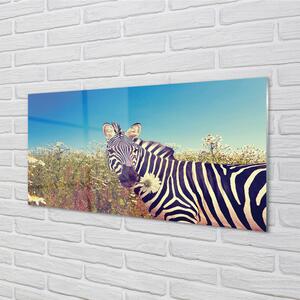 Rivestimento parete cucina Fiori di zebra 125x50 cm