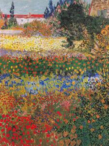 Riproduzione Garden in Bloom Arles July 1888, Vincent van Gogh