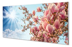 Rivestimento parete cucina Cielo di magnolia con il sole 100x50 cm