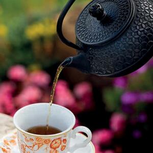 <p>Teiera Giapponese Ilsa, 70 cl in ghisa smaltata, conserva il calore per un tè perfetto. Design elegante con filtro in acciaio, indispensabile per gli amanti del tè.</p>