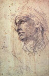 Riproduzione Study of a Head, Michelangelo Buonarroti