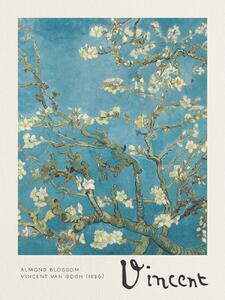 Stampa artistica Almond Blossom - Vincent van Gogh, (30 x 40 cm)
