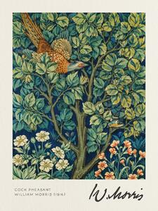 Stampa artistica Cock Pheasant - William Morris, (30 x 40 cm)