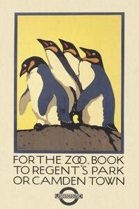 Riproduzione Vintage London Zoo Poster Featuring Penguins, (26.7 x 40 cm)