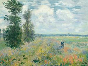 Stampa artistica Poppy Fields near Argenteuil - Claude Monet, (40 x 30 cm)