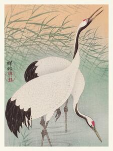 Riproduzione Two Cranes Japandi Vintge - Ohara Koson, (30 x 40 cm)