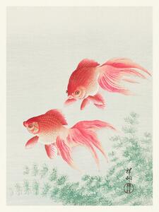 Riproduzione Two Veil Goldfish Japandi Vintage - Ohara Koson, (30 x 40 cm)