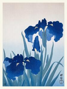 Stampa artistica Blue Iris Flowers Japandi Vintage - Ohara Koson, (30 x 40 cm)