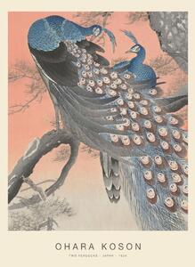 Stampa artistica Two Peacocks Special Edition - Ohara Koson copy, (30 x 40 cm)