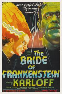 Riproduzione The Bride of Frankenstein Vintage Cinema Retro Movie Theatre Poster Horror Sci-Fi, (26.7 x 40 cm)