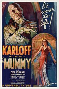 Riproduzione The Mummy Vintage Cinema Retro Movie Theatre Poster Horror Sci-Fi, (26.7 x 40 cm)