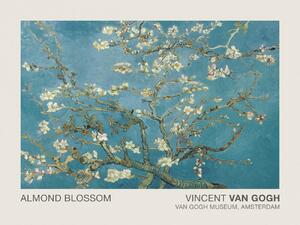 Stampa artistica Almond Blossom Museum Vintage Blue Floral - Vincent van Gogh, (40 x 30 cm)